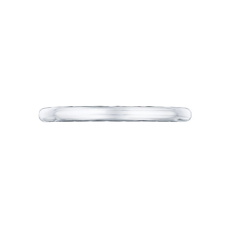 300-2 Starlit Women's Platinum Wedding Band