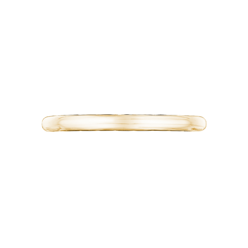 300-2 Starlit Women's Yellow Gold Wedding Ring