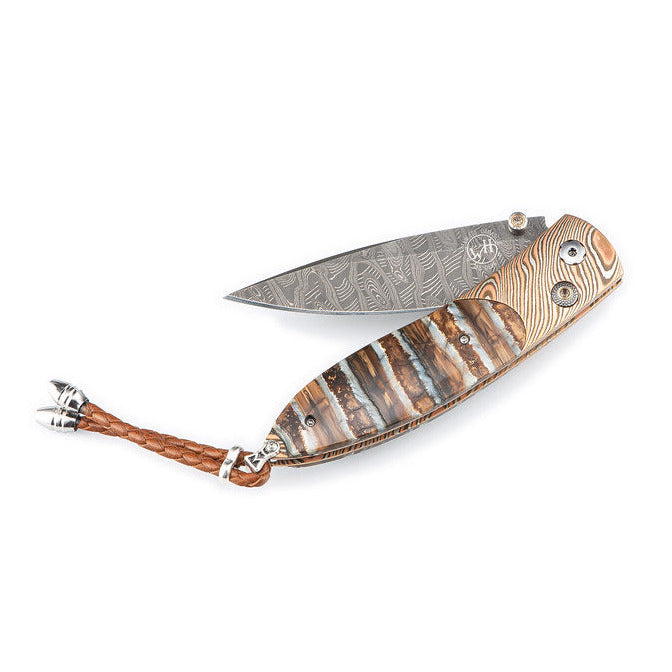 William Henry Archetype II