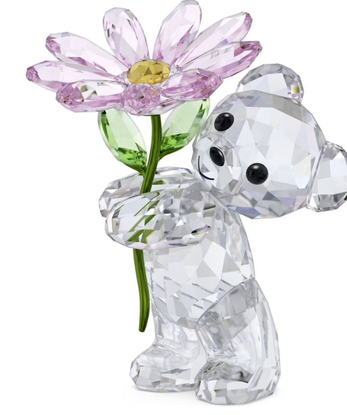 Kris Bear A Daisy for You