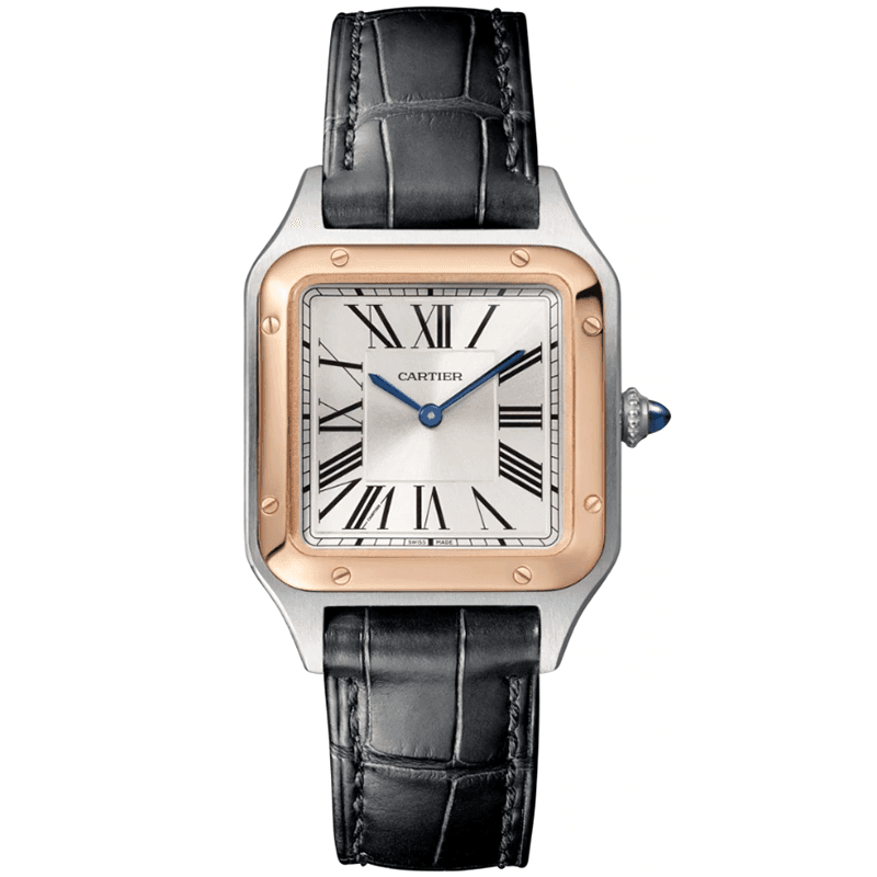 Cartier W2SA0012 Santos-dumont Watch